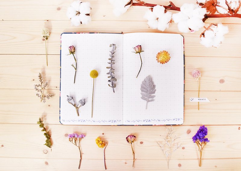 干燥花DIY花墙布置卡片  送礼 房间布置 结婚 毕业 花材圣诞树 - 植栽 - 植物．花 多色