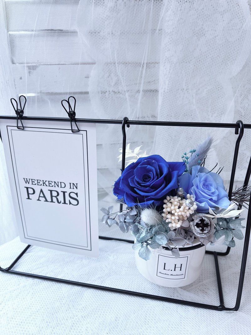 蓝芯花艺 秋千永生盆花 情人节 生日 母亲节 网美 礼物 永生花 - 干燥花/捧花 - 植物．花 多色