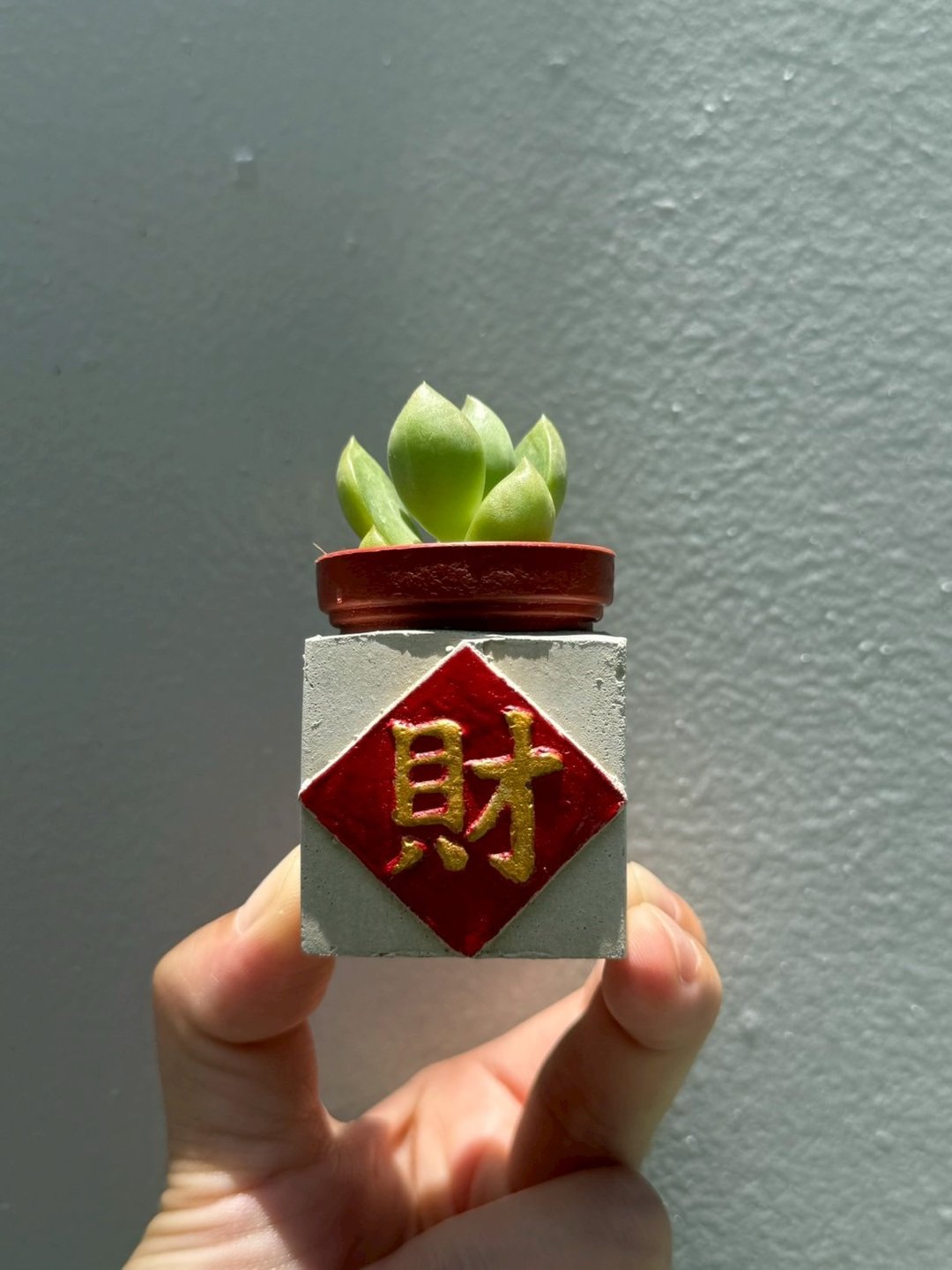 财 红通通!! 新年磁铁盆栽 送多肉 - 植栽/盆栽 - 水泥 红色