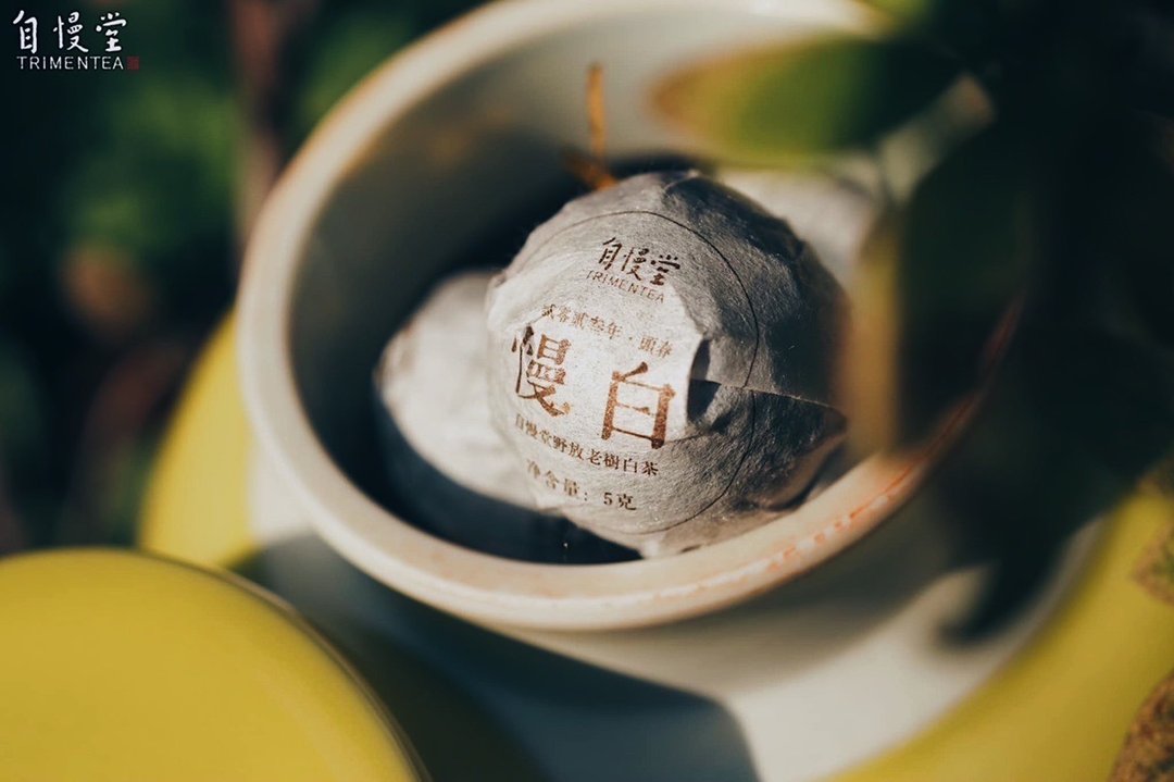 自慢堂 福藏茶 茶仓+茶叶组 白茶/生普 - 茶 - 其他材质 
