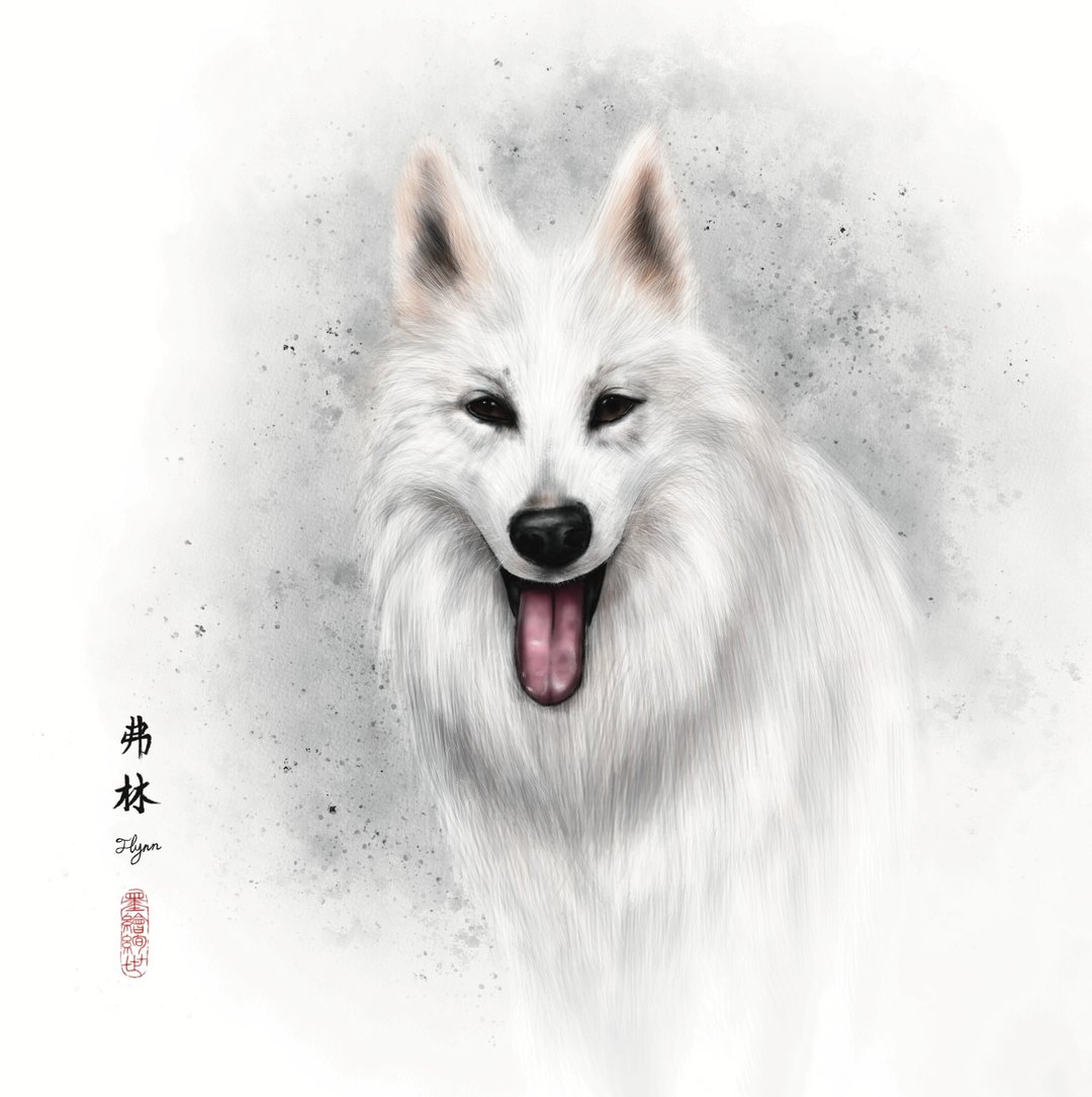 定制化宠物画像 | 水墨精致写实风 | 电子档 | 猫狗篇 - 电子手绘真人画像/绘画/插画 - 其他材质 