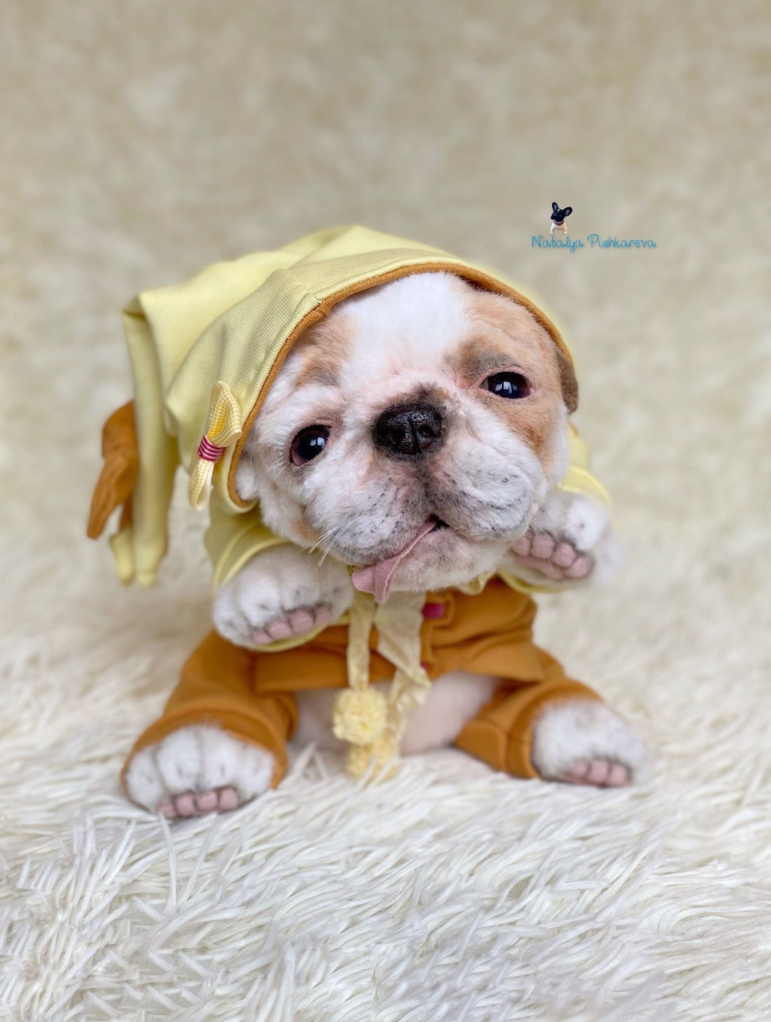 英国斗牛犬小狗 逼真的玩具 毛绒玩具 - 玩偶/公仔 - 聚酯纤维 白色