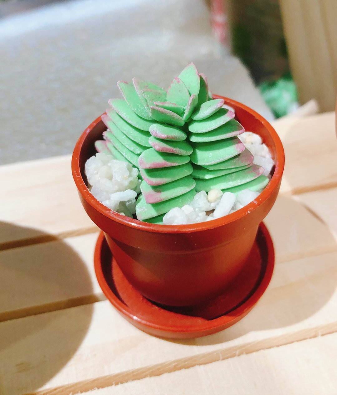 黏土多肉植物 — 茜之塔Crassula corymbulosa - 摆饰 - 粘土 