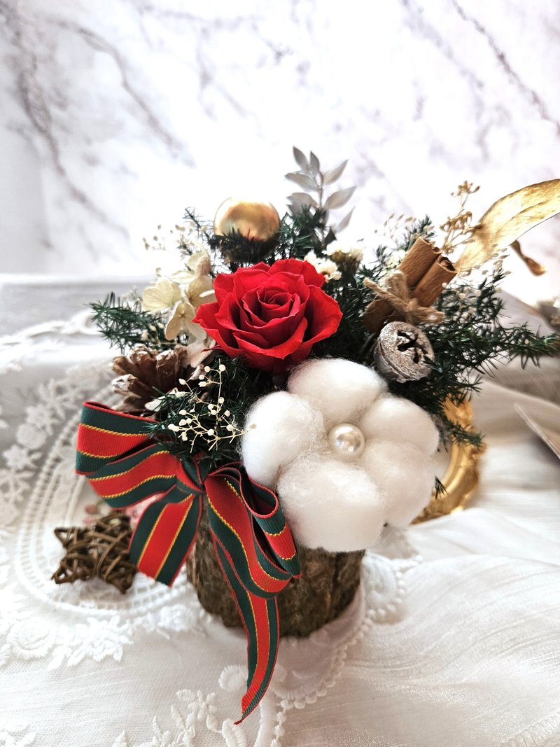 圣诞节永生玫瑰桌花 盆花 耶诞节 - 干燥花/捧花 - 植物．花 多色