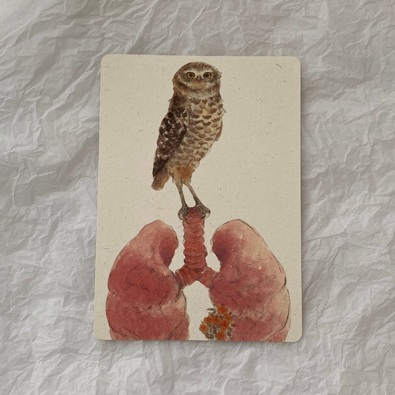 穴鸮 水彩 圆角明信片 - 卡片/明信片 - 纸 