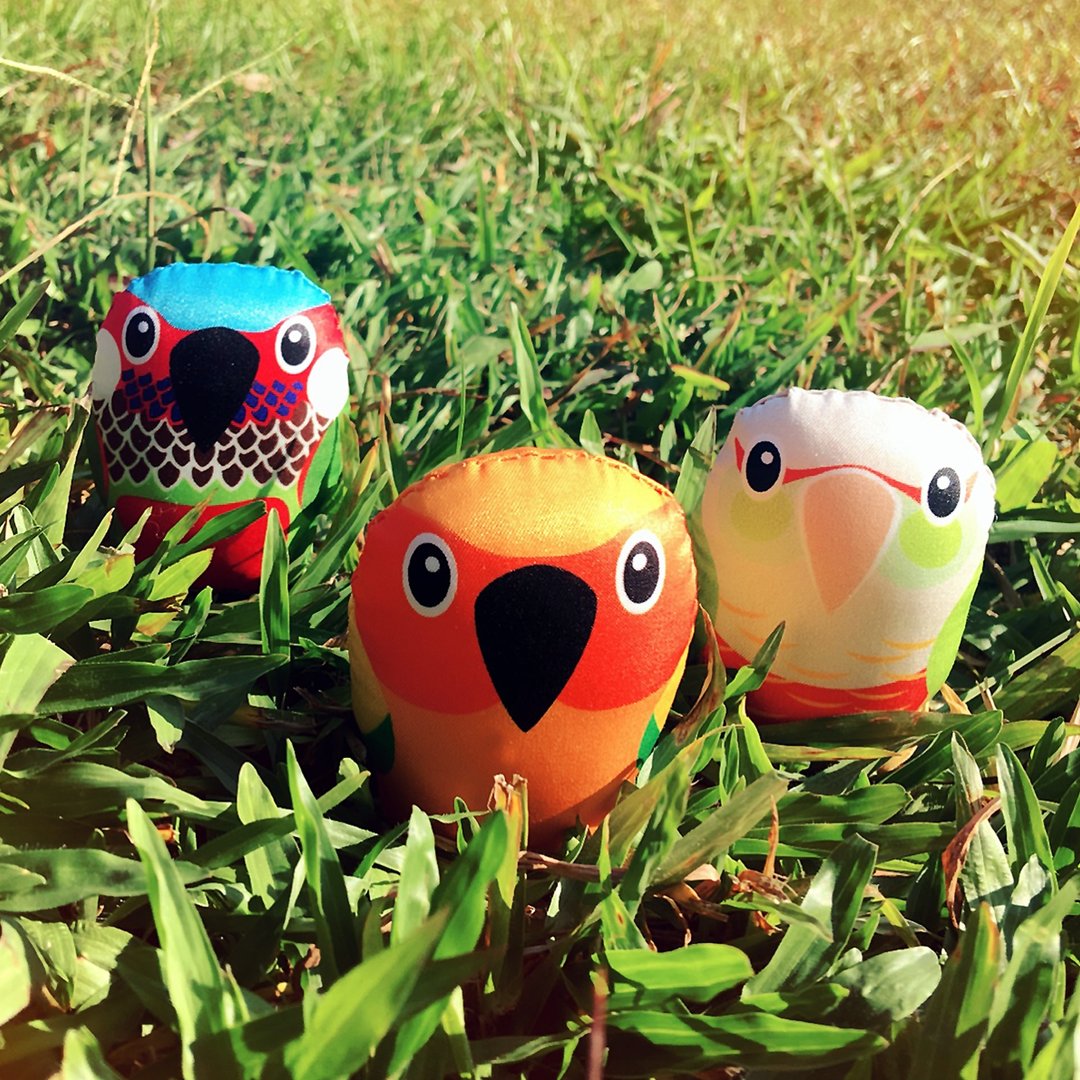 DIY手作鹦鹉 ∣ 太阳锥尾鹦鹉 Parakeet · 纸镇手作材料包 - 其他 - 其他材质 多色