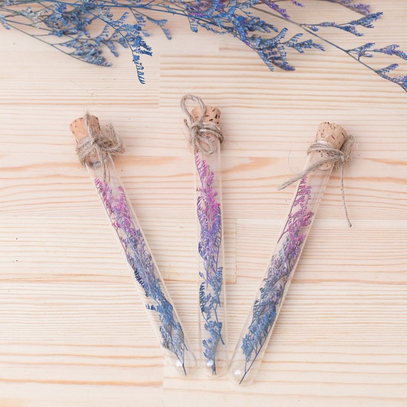 三花猫手作花饰 干燥花试管 渐层色系的浪漫 毕业花语 - 植栽/盆栽 - 植物．花 多色