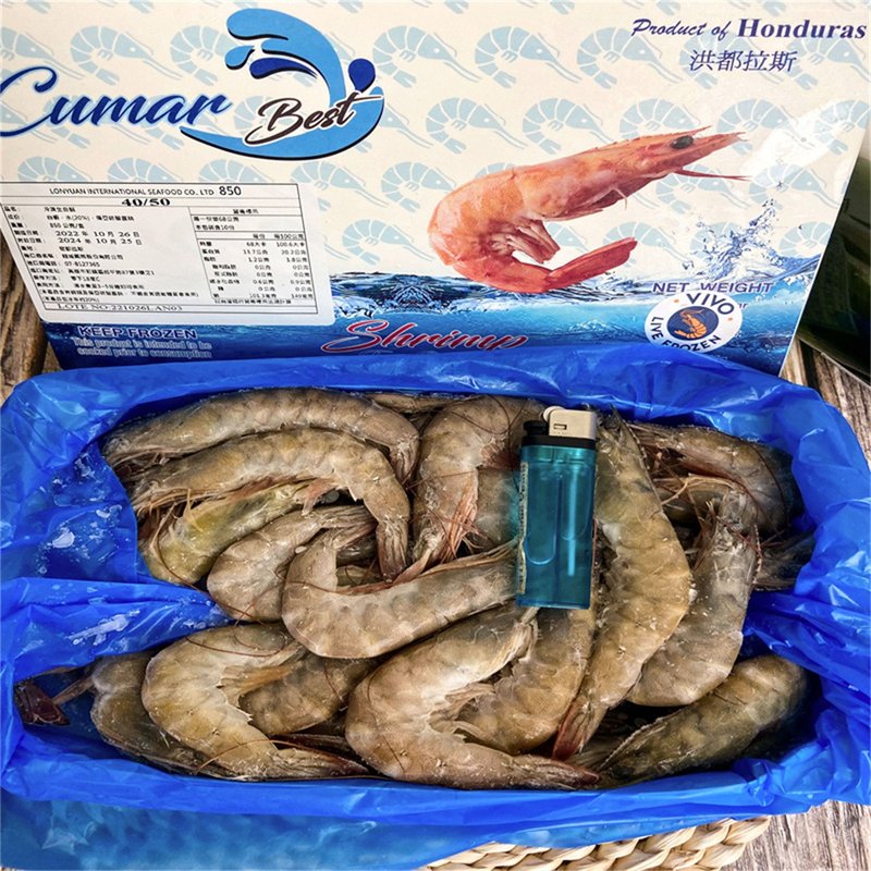 【合乔飨鲜】活冻白虾850g/包/规格4/5~5/6~7/8白虾/小资族首选 - 其他 - 新鲜食材 