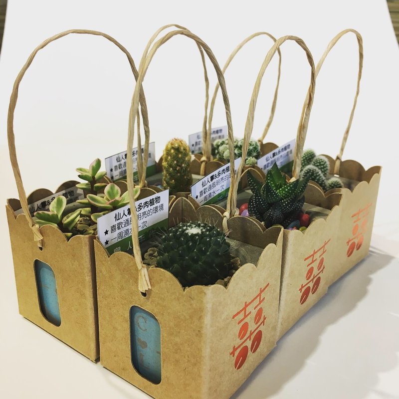 【定制化水泥花器-1组100个】迷你多肉仙人掌 婚礼小物 企业赠礼 - 植栽/盆栽 - 水泥 灰色