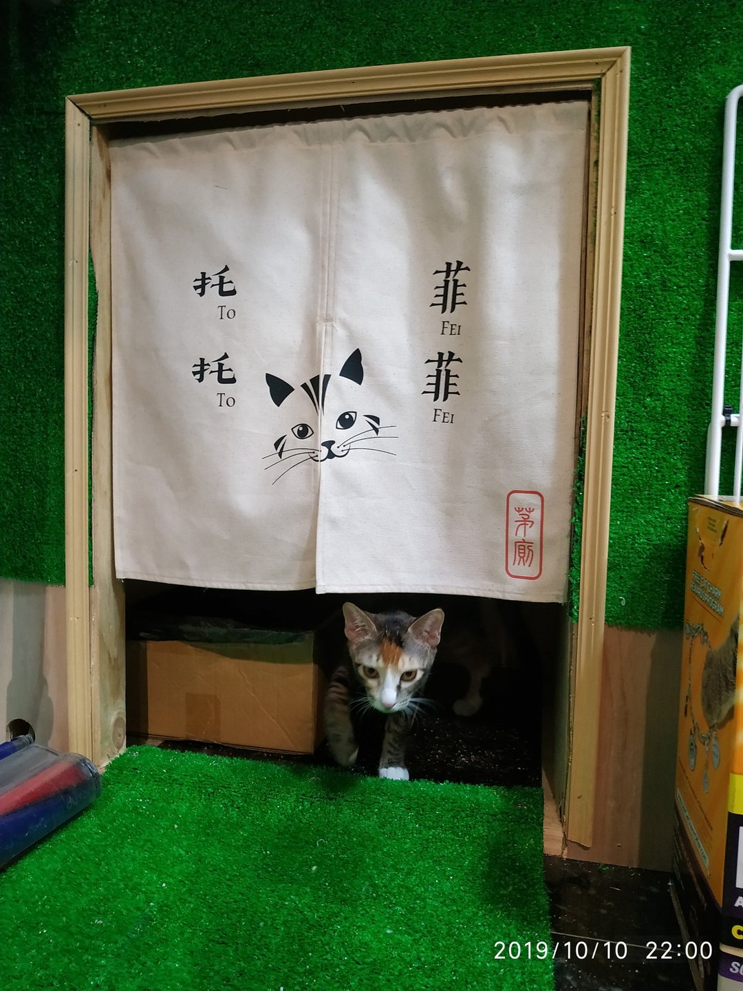 定制化猫砂盆门帘  尺寸文字都定制 装饰 日式门帘 书柜 cat 圣诞 - 猫砂/猫砂垫 - 棉 
