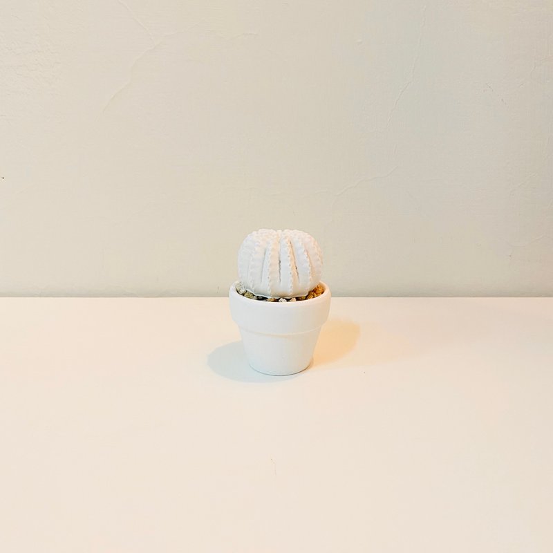 疗愈仙人掌 - 扩香石 C5 - 香薰/精油/线香 - 其他材质 