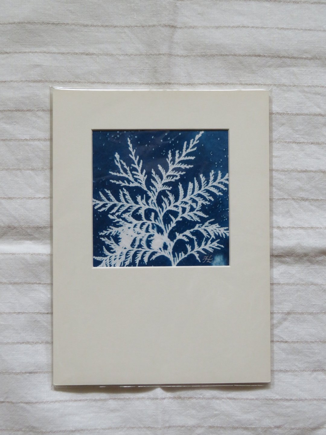 植物剪影。手作蓝晒框画 - 墙贴/壁贴 - 纸 蓝色