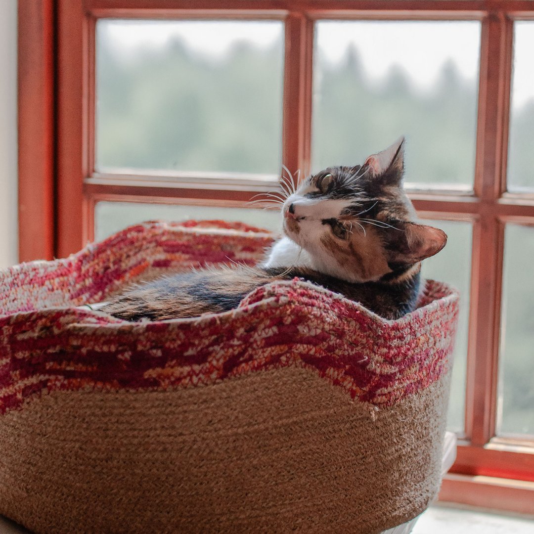 纱丽黄麻猫咪篮_公平贸易 - 收纳用品 - 植物．花 卡其色