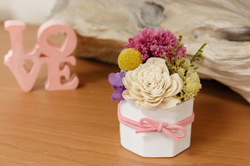 母亲节献礼 永生康乃馨盆栽 扩香石盆花 干燥花 不凋花 附3ml香精 - 干燥花/捧花 - 植物．花 