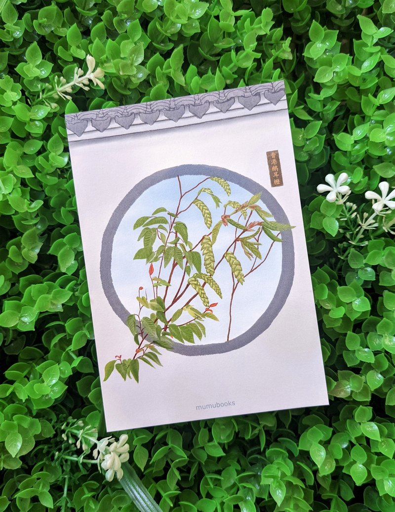 明信片 – 花卉系列 – 香港鹅耳枥 - 卡片/明信片 - 纸 多色