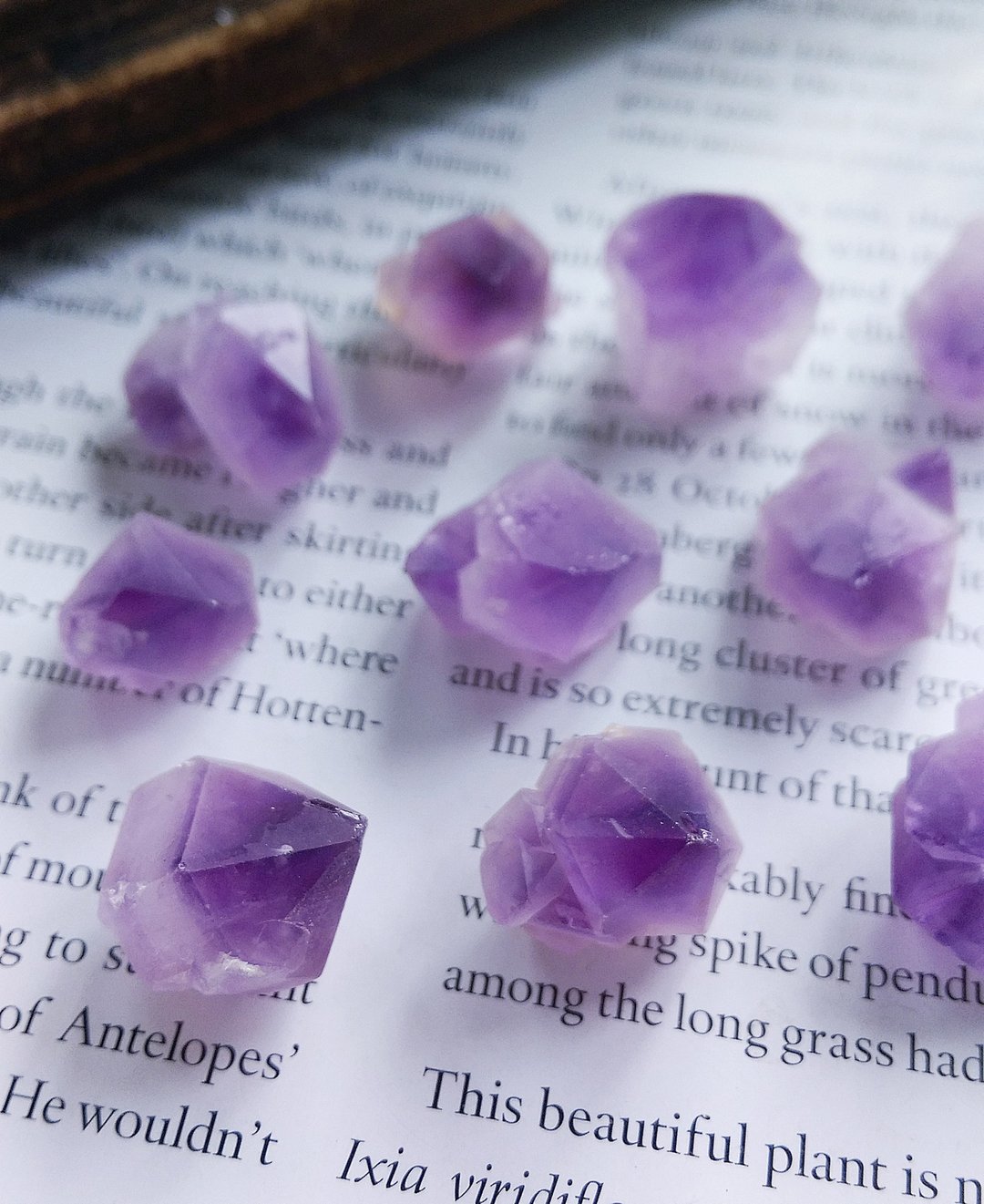 Amethyst 马达加斯加产地 紫水晶 小晶牙 天然小碎石  一组10颗 - 摆饰 - 其他材质 