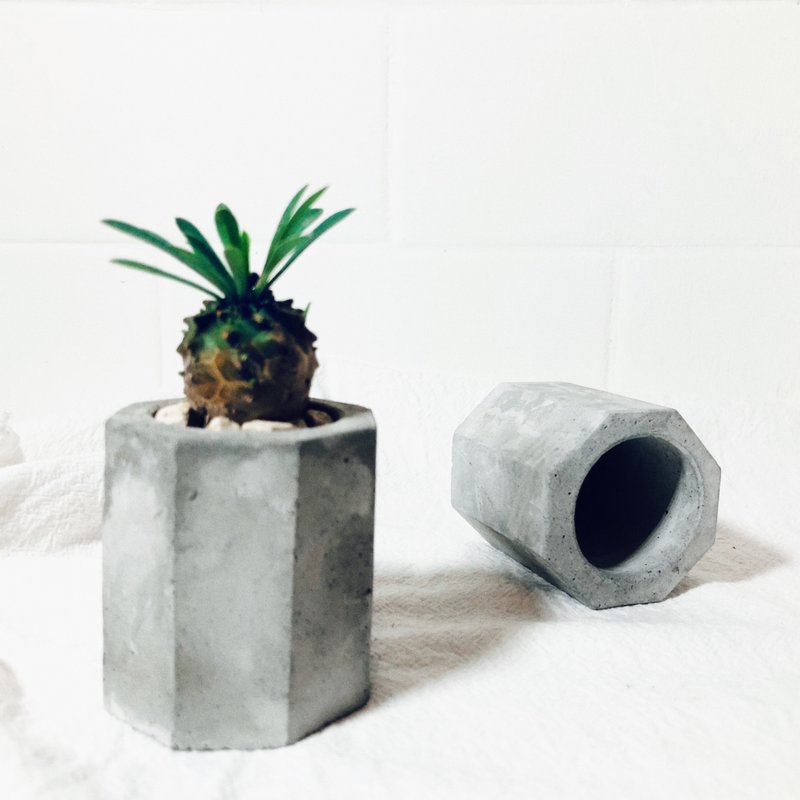 纯粹系列-八角泥盆/工业灰 - 植栽/盆栽 - 水泥 灰色