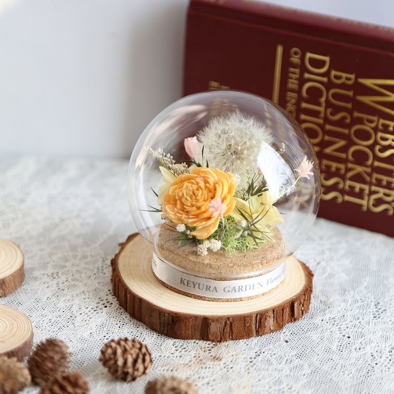 S18/蒲公英小圆罩盅/毕业花束/毕业礼物/毕业 - 干燥花/捧花 - 植物．花 多色