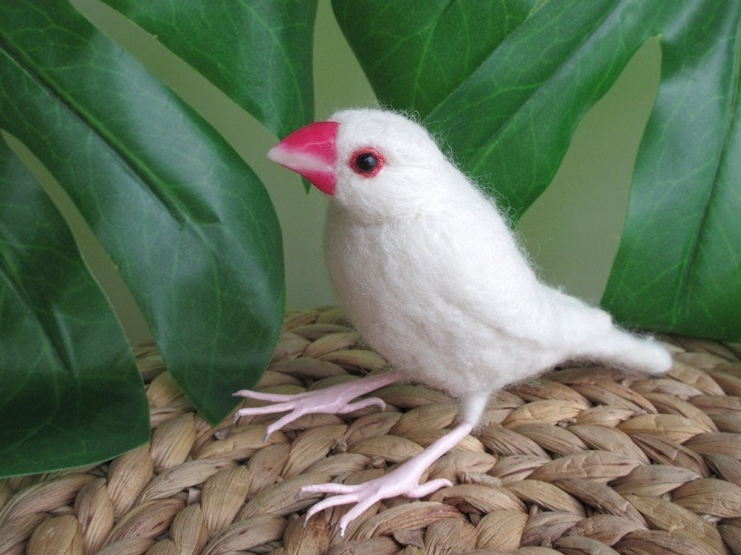 Java sparrow Java sparrow Wool felt - 玩偶/公仔 - 羊毛 白色