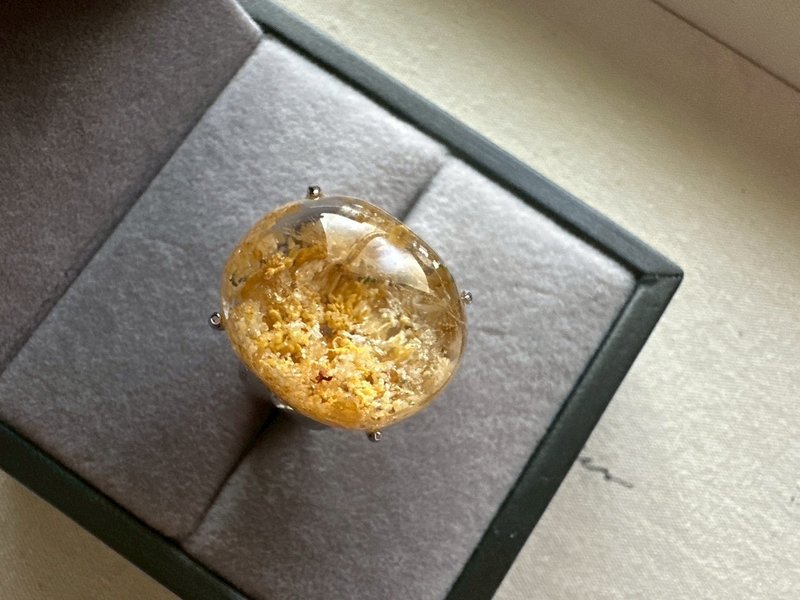 黄龙幽灵水晶-满矿型-Golden Phantom Quartz- Full Inclusi - 戒指 - 水晶 