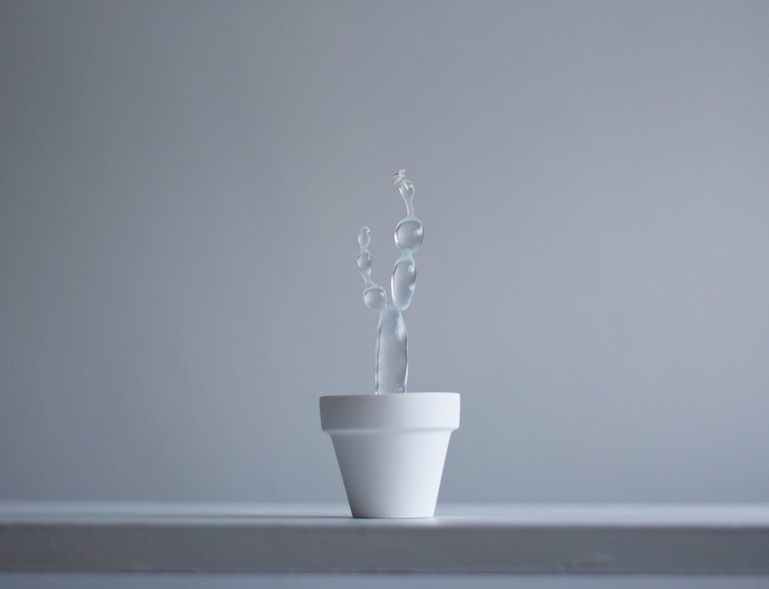 water cactus mini Cloisonne tree - 摆饰 - 塑料 透明
