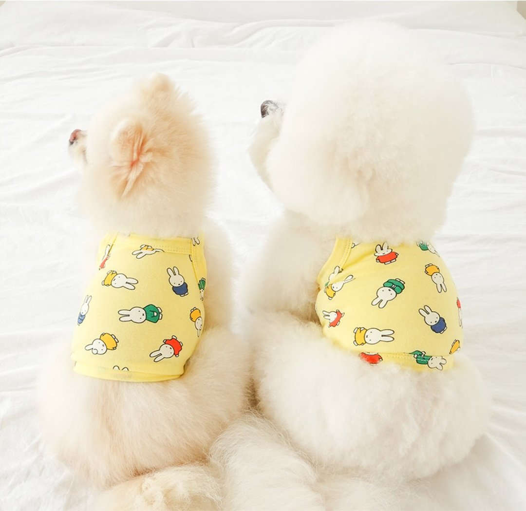 Miffy 经典夏日弹性上衣－亮黄 | 韩国制 - 衣/帽 - 棉．麻 黄色