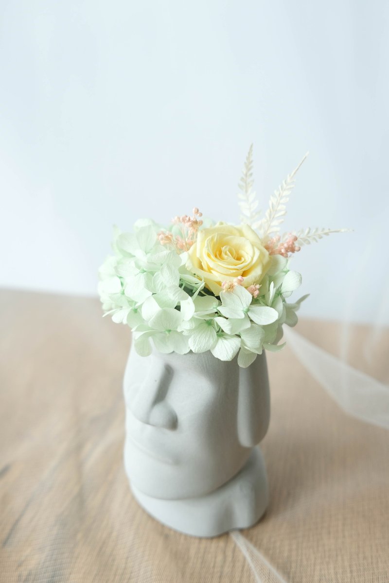 【巨人的面貌】 摩艾(灰) 黄色/绿色/不凋花/永生花/干燥花/盆栽 - 干燥花/捧花 - 植物．花 灰色