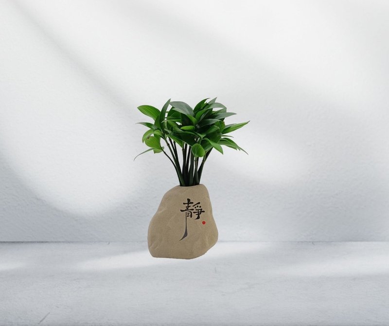 竹柏植栽 陶艺关公 奇木 风化黄连木 - 植栽/盆栽 - 植物．花 