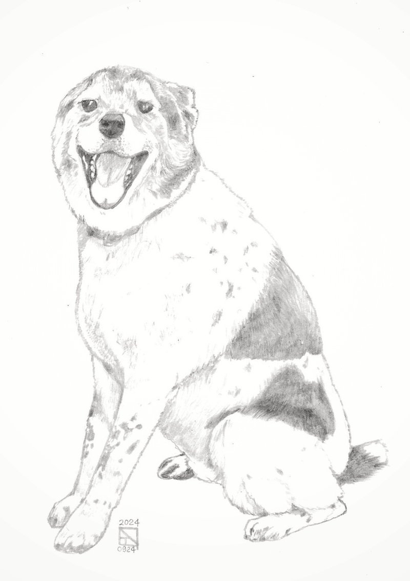 定制化 宠物 画像 插画  明信片 (铅笔黑白) - 卡片/明信片 - 纸 银色