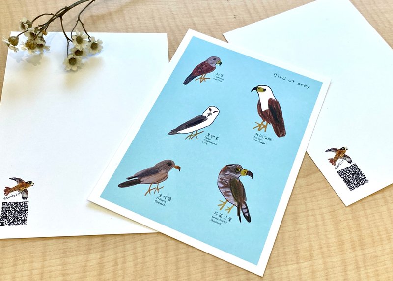 童趣插画 Bird of prey 猛禽 明信片 - 卡片/明信片 - 纸 蓝色