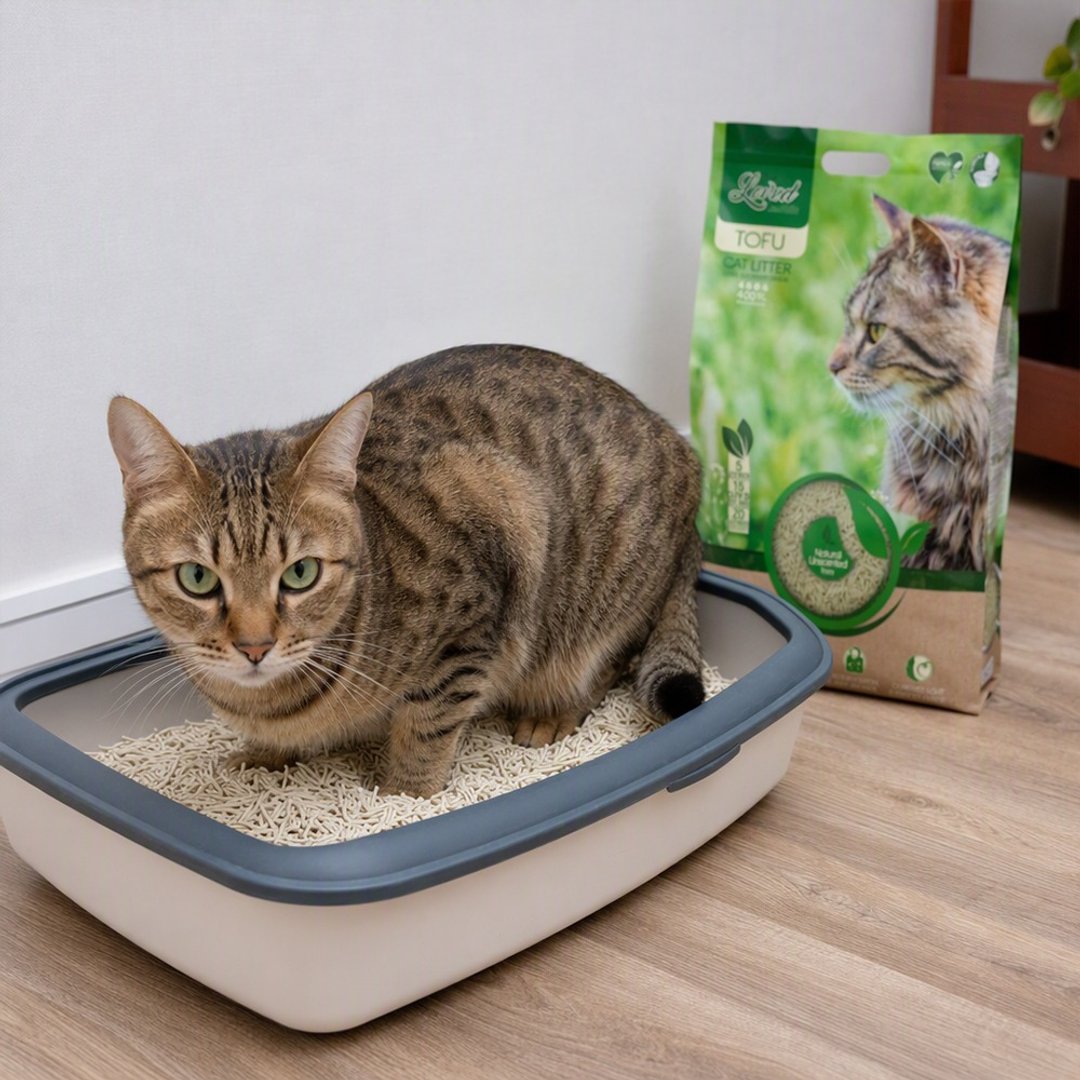 【猫用品】TobeLoved 猫砂 一米米豆腐砂 天然无香款 可冲马桶 - 猫砂/猫砂垫 - 其他材质 
