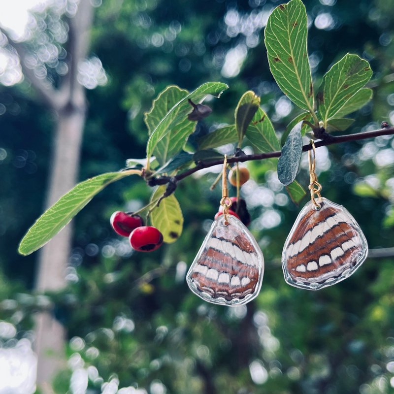信使(蝴蝶翅膀耳环) - 耳环/耳夹 - 其他材质 咖啡色