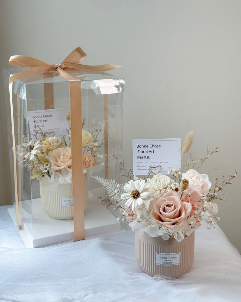 中型祝贺盆花/含精美包装及贺卡/开幕礼/入厝礼/新居落成/升迁礼 - 干燥花/捧花 - 植物．花 