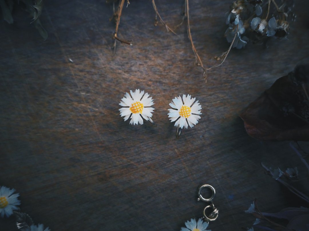 Van Dell 雕刻小雏菊耳环－美国古董首饰 Vintage Jewelry - 耳环/耳夹 - 树脂 
