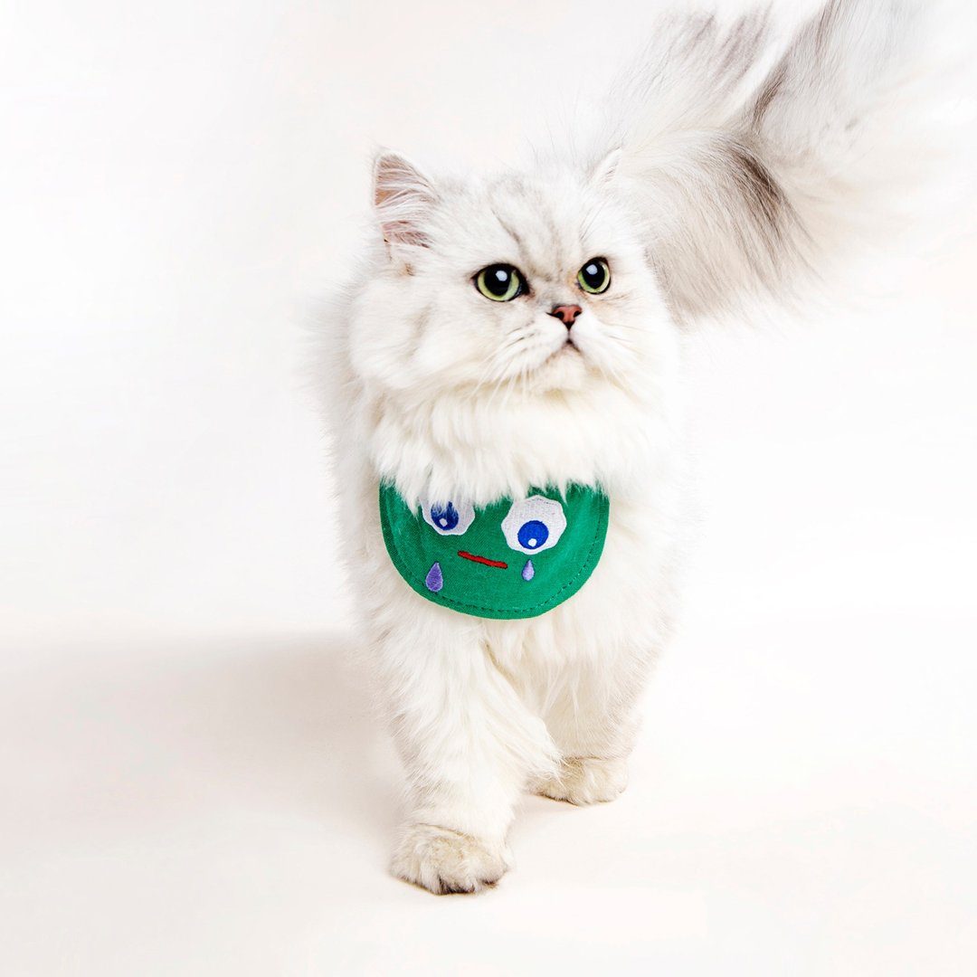 pidan宠物围巾猫咪狗狗通用口水巾三角巾项圈小型犬围嘴宠物用品 - 项圈/牵绳 - 聚酯纤维 多色