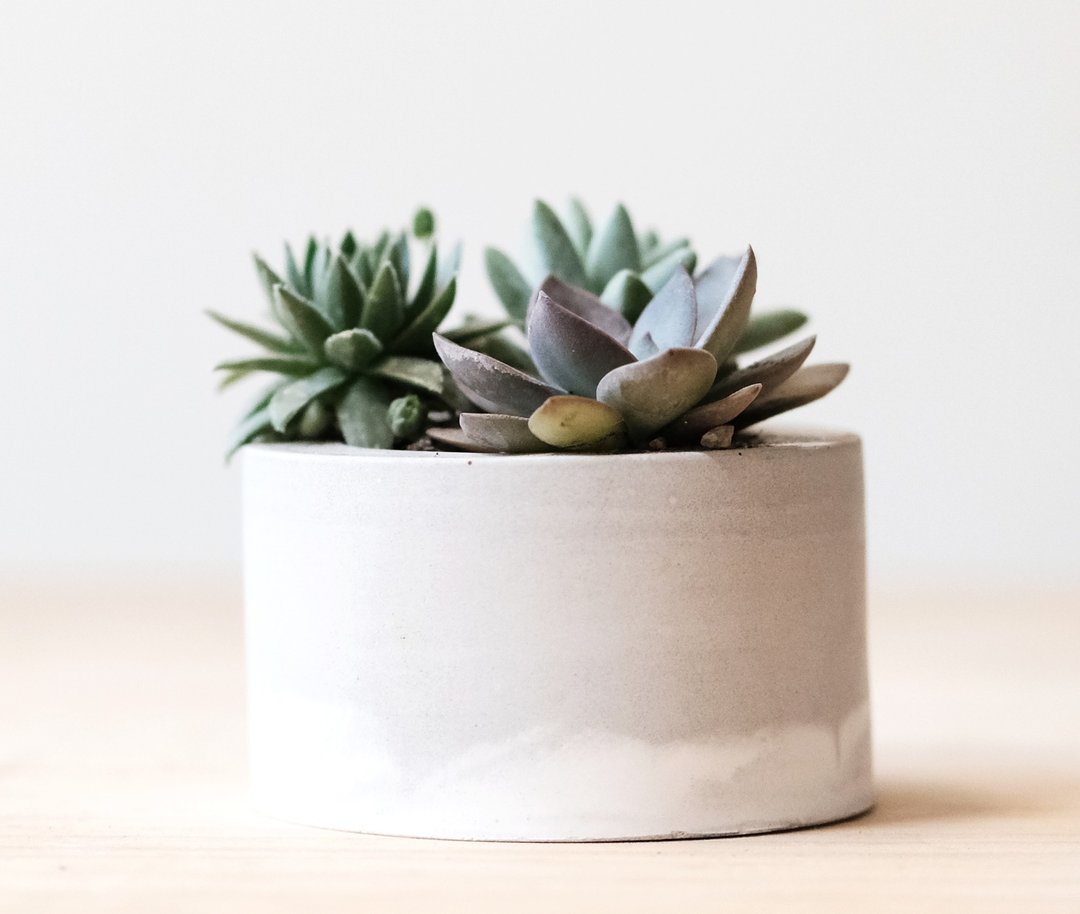 灰白圆柱水泥盆-多肉盆栽材料包 Succulents potted - 植栽/盆栽 - 水泥 多色