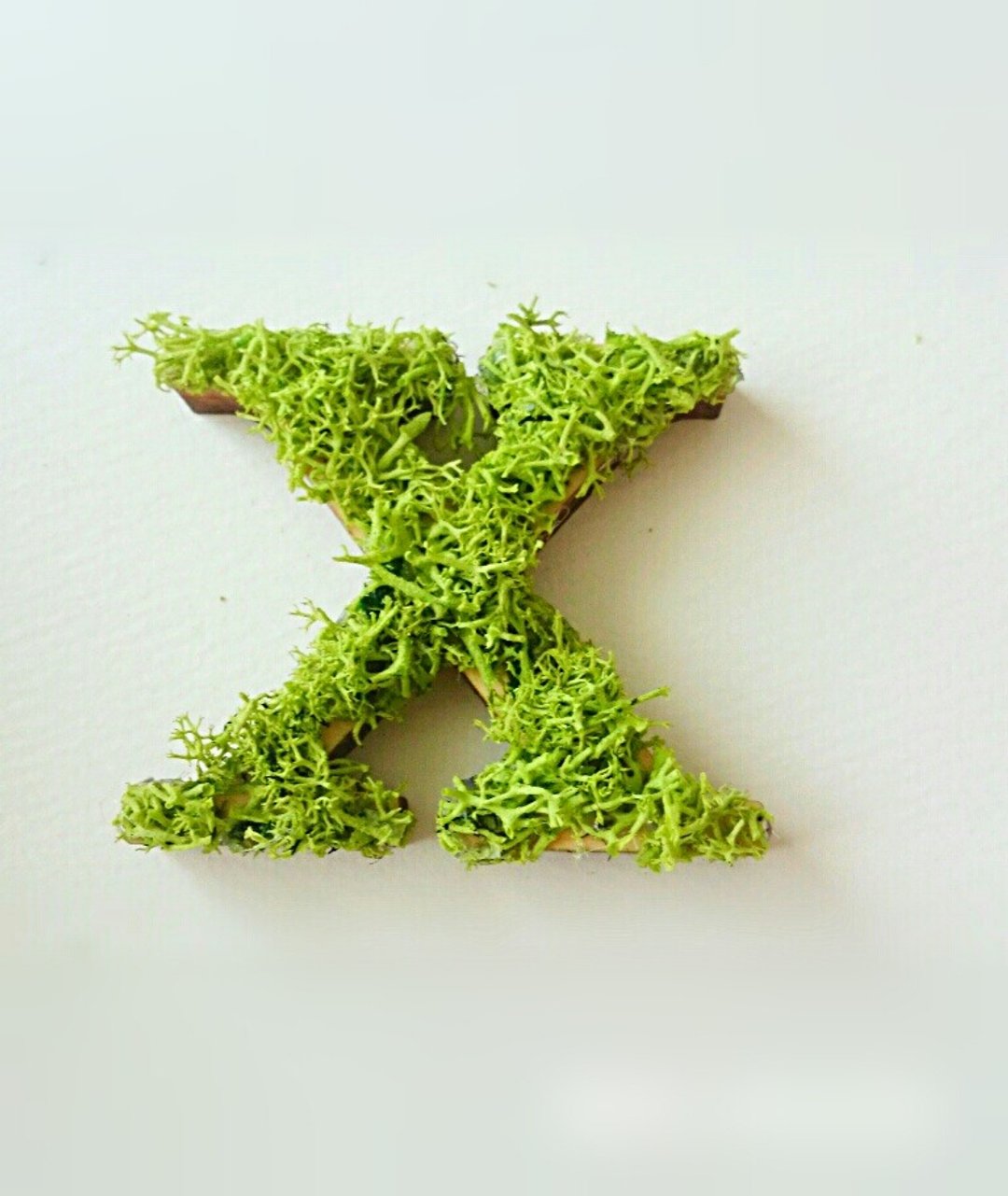 Wooden Alphabet Object (Moss) 5cm/Xx 1 piece - 摆饰 - 木头 绿色