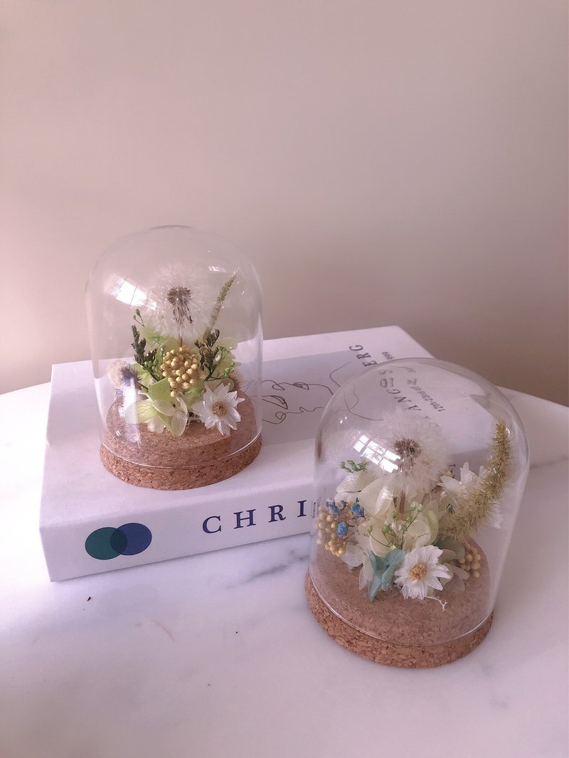 | 桃园青埔 | 企业教学 不凋花永生蒲公英盅罩体验课程 - 植栽 - 植物．花 