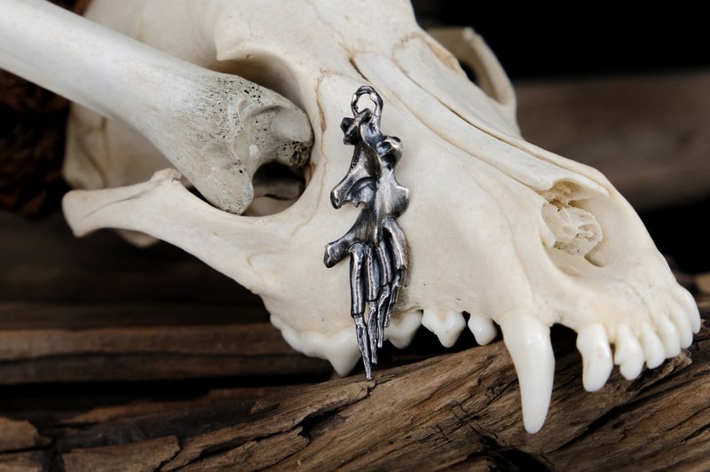 【山骸纪】骸羽坠—鸟类翅膀骨头项链 - 项链 - 银 银色