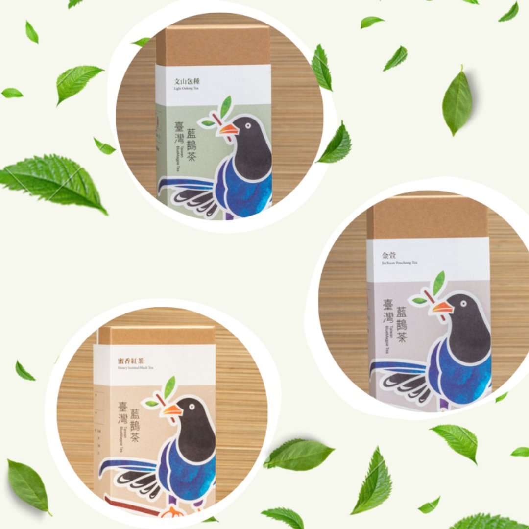 【包邮组】2022蓝鹊茶香茶叶组-文山包种X金萱X蜜香红茶 - 茶 - 新鲜食材 绿色