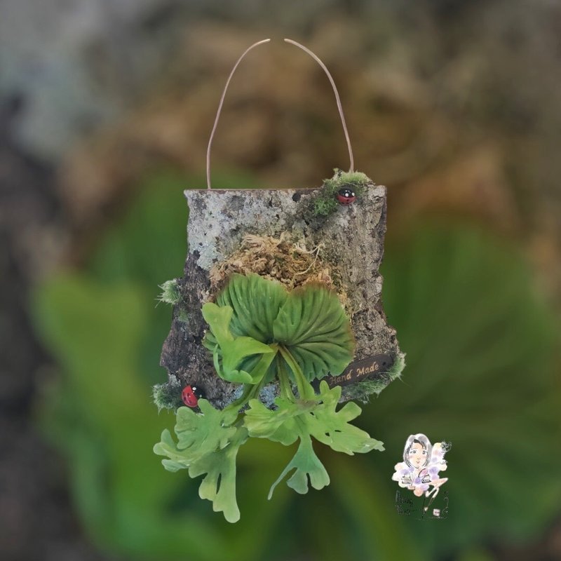 手作鹿角蕨- 迷你亚洲猴脑鹿角蕨 - 植栽/盆栽 - 粘土 