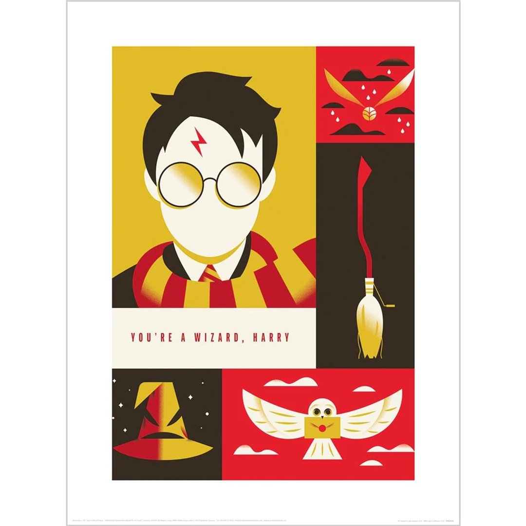 【哈利波特】华纳100周年纪念艺术概念图/ Harry Potter - 海报/装饰画/版画 - 纸 多色