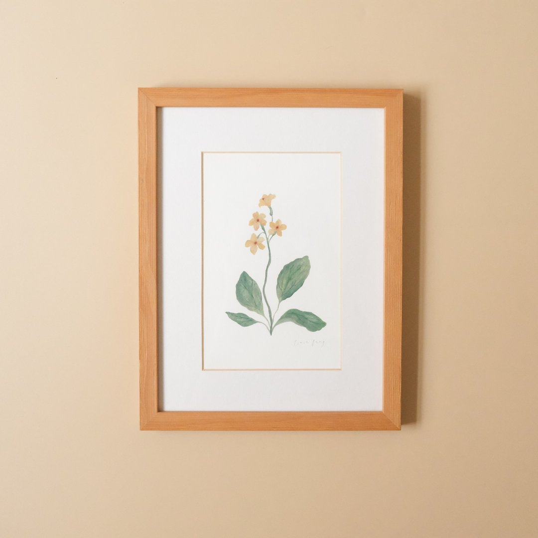 植物插画-迎春花 / 挂画 / 实木表框 - 海报/装饰画/版画 - 纸 