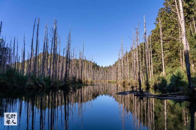 【初阶】水漾森林・两天一夜・免背睡袋公粮 - 深度旅游 - 其他材质 