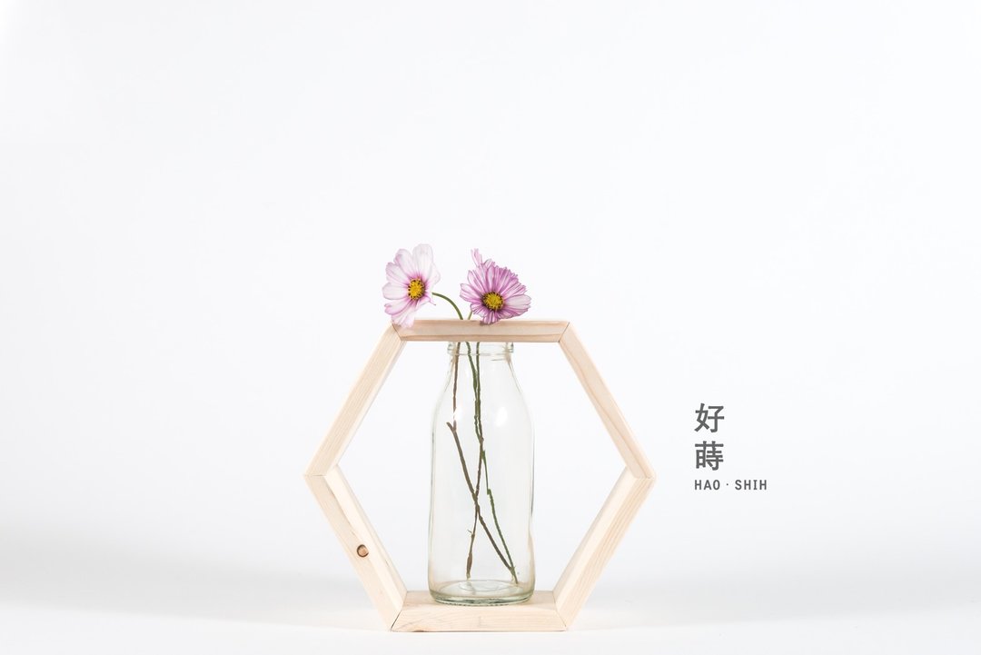 六角形玻璃瓶花架 - 植感系列 - 给植物一个温暖的家 - 花瓶/陶器 - 木头 
