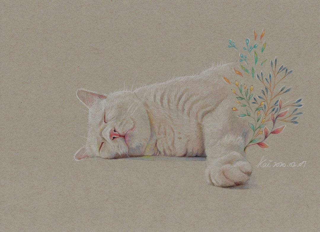 定制化 宠物画 狗 猫 色铅笔作品 一单位 含透明框 - 订制画像 - 纸 