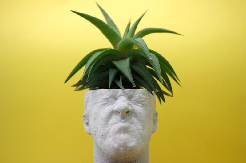 水泥盆器 多肉植物 -男子 - 植栽/盆栽 - 水泥 银色
