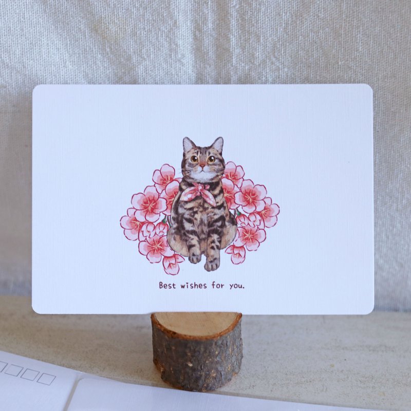 虎斑喵喵明信片 卡片 万用卡 贺卡 文创 虎斑猫 猫咪 可爱 - 卡片/明信片 - 纸 白色