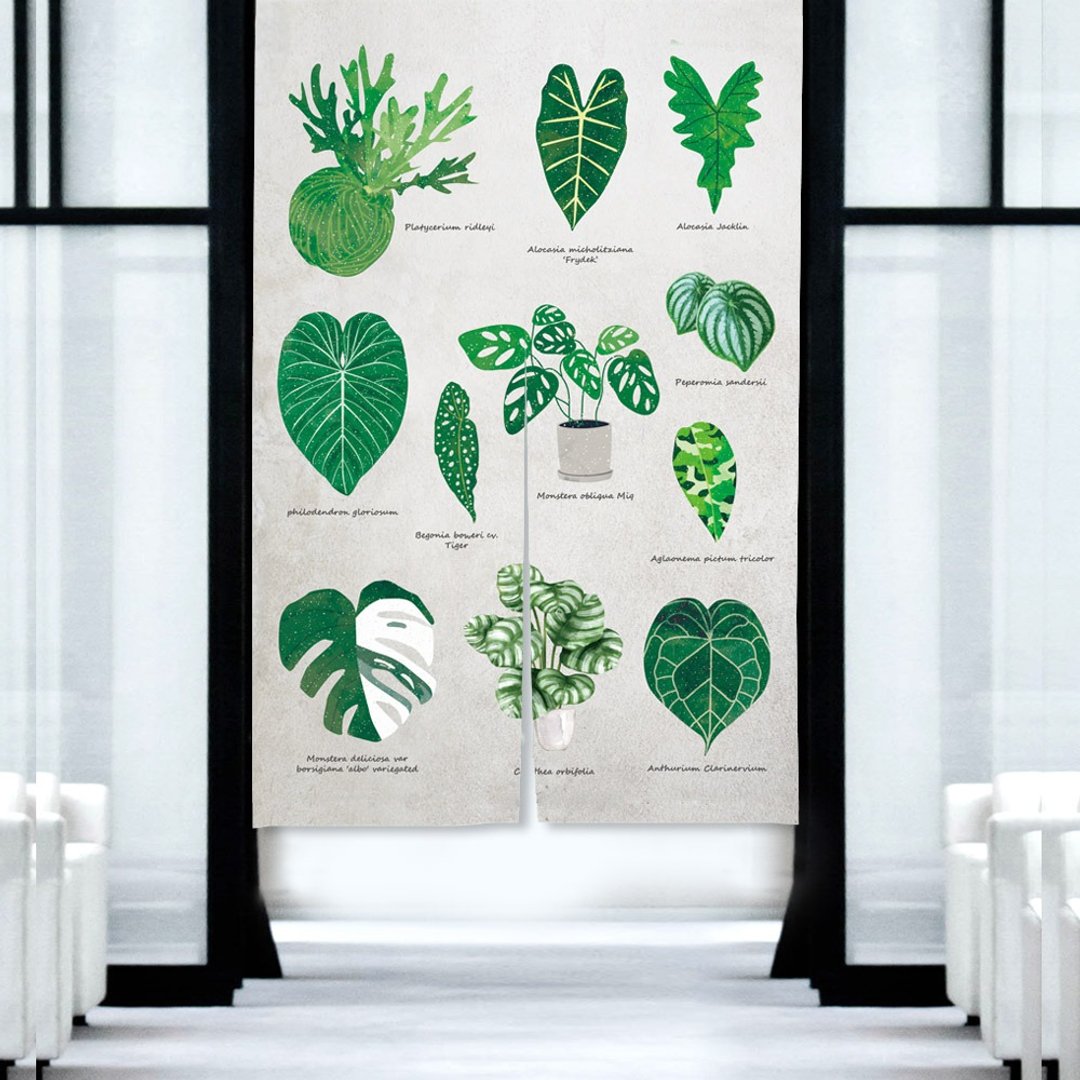 植物图鉴 门帘 观叶植物 - 门帘/门牌 - 棉 绿色