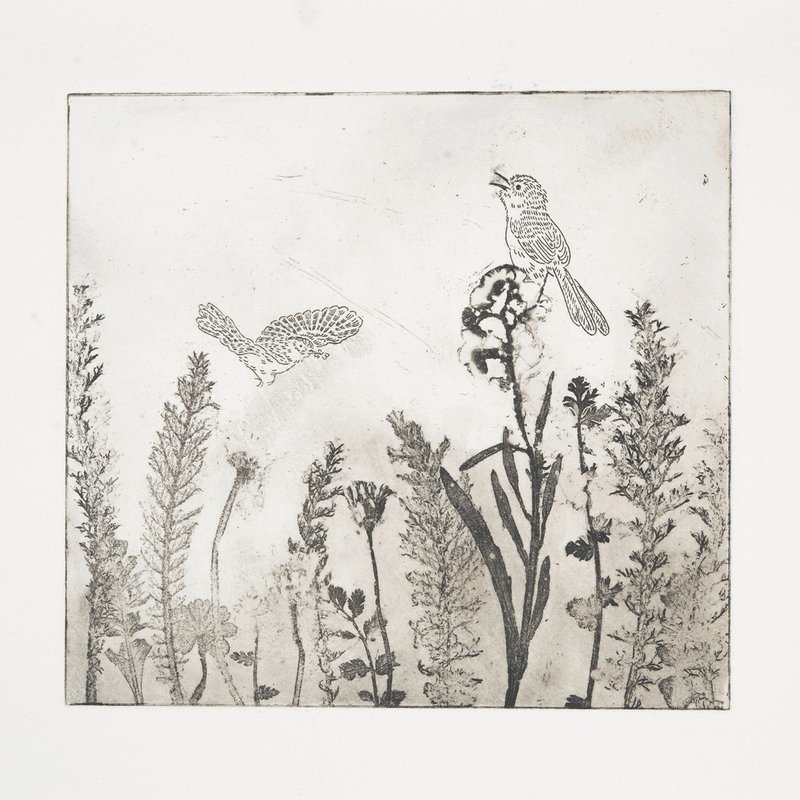 蚀刻版画 Etching | 听鹪莺唱歌 Singing Prinia - 海报/装饰画/版画 - 纸 